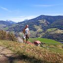 ���������� �����, ���� ������� ����, 39 ���, ������������ ��� ������, ����� � ���������