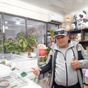  ,   , 44 ,   ,   , c , 