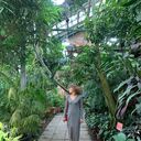 ���������� ������, ���� ������� �����, 56 ���, ������������ ��� ����� � ���������, c�������� ���������