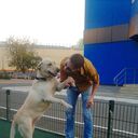 ���������� �������, ���� ������� ������, 43 ����, ������������ ��� ������, ����� � ���������