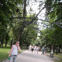 ���������� ������, ���� ������� �������, 33 ����, ������������ 