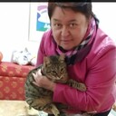 ���������� �������, ���� ������� ������, 62 ����, ������������ ��� c�������� ���������