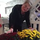 ���������� ������, ���� ������� �������, 51 ���, ������������ ��� c�������� ���������