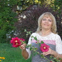   ,   , 62 ,     