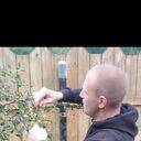  ,   , 35 ,   ,   