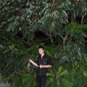 ���������� �����, ���� ������� ����, 36 ���, ������������ ��� ������, ����� � ���������, c�������� ���������, ���������