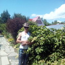 ���������� �������, ���� ������� ���������, 41 ���, ������������ ��� ����� � ���������, c�������� ���������