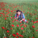  ,   Babek, 41 ,     , c 