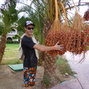 ���������� ������-��-����, ���� ������� �������, 38 ���, ������������ ��� ������, ����� � ���������, c�������� ���������