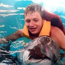 ���������� ��������, ���� ������� C�����, 36 ���, ������������ ��� ������, ����� � ���������