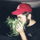  ,   David, 27 ,   ,   , c 