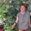 ���������� ������, ���� ������� ���, 42 ����, ������������ ��� ����� � ���������, ���������