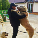 ���������� ��������, ���� ������� ������, 31 ���, ������������ ��� ������, ����� � ���������, c�������� ���������