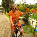 ���������� �����, ���� ������� Apollon, 41 ���, ������������ ��� ������, ����� � ���������, c�������� ���������, ���������