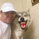 ���������� ������, ���� ������� ����, 47 ���, ������������ ��� c�������� ���������, ���������