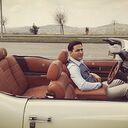 ���������� ������, ���� ������� Armen, 43 ����, ������������ ��� ������, ����� � ���������