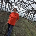 ���������� ������, ���� ������� ������������, 63 ����, ������������ ��� ������, ����� � ���������, c�������� ���������