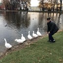 ���������� �������-�����, ���� ������� �����, 31 ���, ������������ ��� ������, ����� � ���������, c�������� ���������