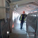 ���������� ������, ���� ������� ����, 43 ����, ������������ ��� ������, ����� � ���������, c�������� ���������