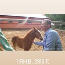 ���������� �����, ���� ������� �������, 53 ����, ������������ ��� ������, ����� � ���������, c�������� ���������