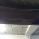 ���������� ��������, ���� ������� ������, 36 ���, ������������ ��� ������, ����� � ���������, c�������� ���������