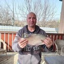  --,   , 54 ,   ,   
