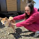 ���������� ���������, ���� ������� ���, 32 ����, ������������ ��� ����� � ���������, c�������� ���������