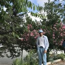  ,   Mirji, 23 ,   ,   , c 