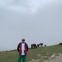  Agugliano,   , 50 ,   ,   , c 