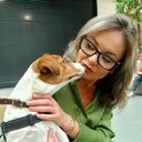 ���������� �����, ���� ������� ���, 40 ���, ������������ ��� ������, ����� � ���������, c�������� ���������, ���������