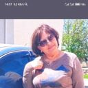  ,   , 61 ,     , c 