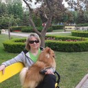 ���������� ������, ���� ������� ������, 53 ����, ������������ ��� ������, ����� � ���������, c�������� ���������