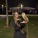 ���������� ���������, ���� ������� ������, 26 ���, ������������ ��� ������, ����� � ���������