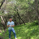 ���������� �������, ���� ����� �����, 23 ����, ������������ ��� ���������