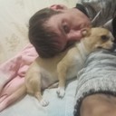  ,   , 37 ,   