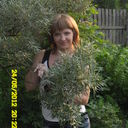  ,   , 40 ,   ,   , c 