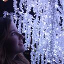 ���������� �������, ���� ������� �����, 25 ���, ������������ ��� ������, ����� � ���������