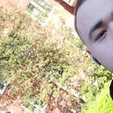 ���������� ����������, ���� ����� ������, 24 ����, ������������ ��� ������, ����� � ���������, c�������� ���������, ���������