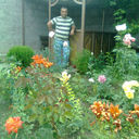  ,   VOVA, 46 ,  