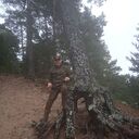 ���������� ������, ���� ������� ������, 40 ���, ������������ ��� ������, ����� � ���������