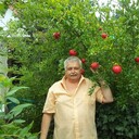  ,   , 61 ,   ,   