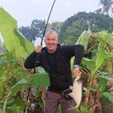 ���������� �����, ���� ������� ����, 49 ���, ������������ ��� ����� � ���������, ���������