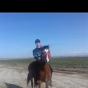 ���������� �������, ���� ������� ����, 35 ���, ������������ ��� ������, ����� � ���������