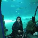 ���������� ������, ���� ������� �����, 29 ���, ������������ ��� ������, ����� � ���������