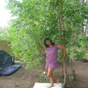 ���������� ������, ���� ������� ����, 54 ����, ������������ ��� ������, ����� � ���������, c�������� ���������