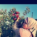 ���������� ������, ���� ������� �������, 26 ���, ������������ ��� ����� � ���������, c�������� ���������