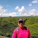  Ziar,   Jaro, 70 ,   ,   , c , 