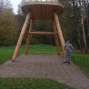  ,   , 36 ,     , c 