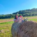 ���������� ������, ���� ������� ��������, 38 ���, ������������ ��� ������, ����� � ���������