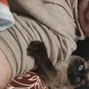 ���������� ������, ���� ������� �������, 41 ���, ������������ ��� ������, ����� � ���������